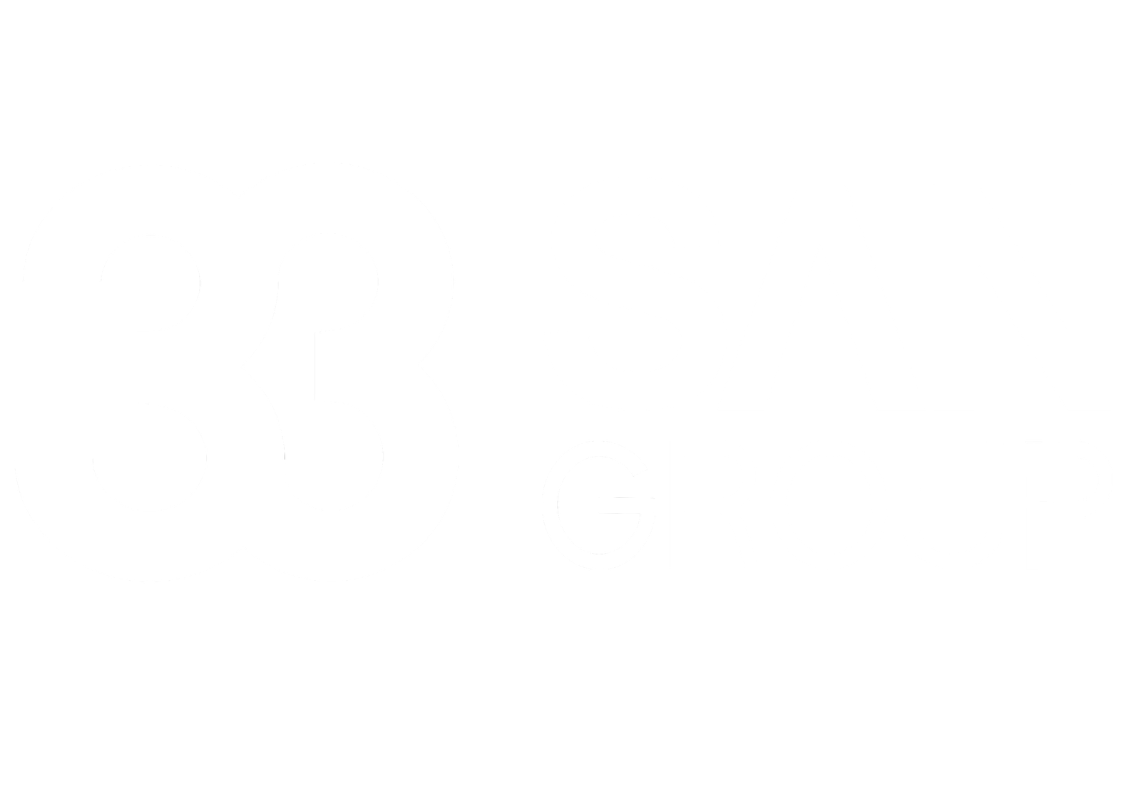 SAN Group